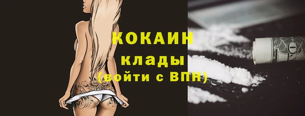 спайс Арсеньев