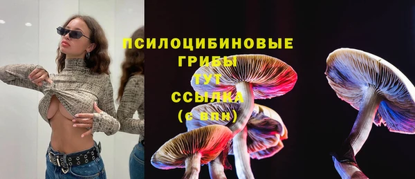 спайс Арсеньев